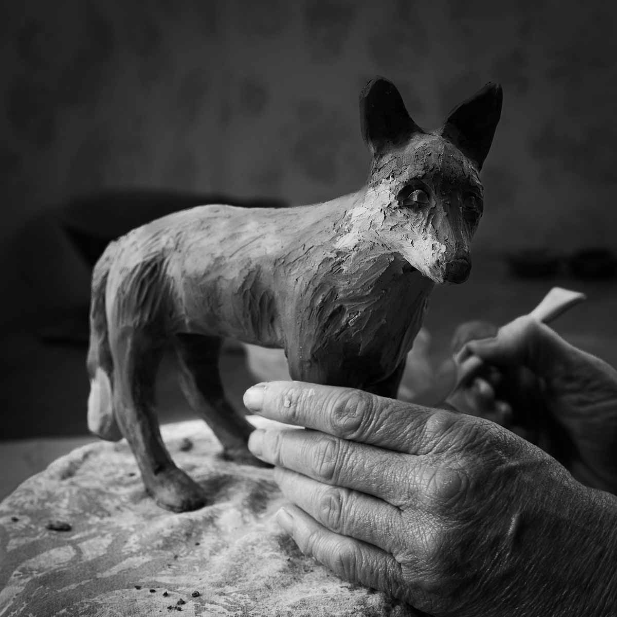 21072023 IMG 0228